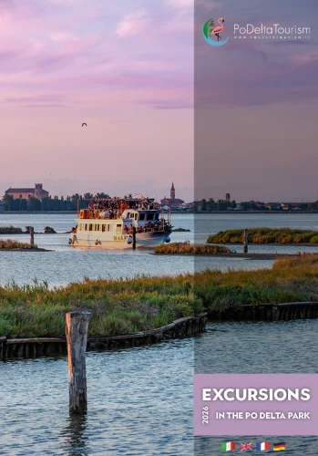 Excursions 2026: la tua prossima esperienza inizia da qui!